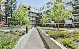 989 20th Street #365